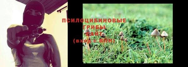 бошки Алексин