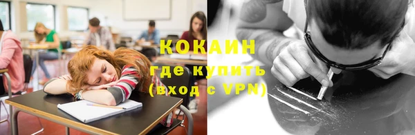 бошки Алексин
