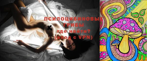 бошки Алексин